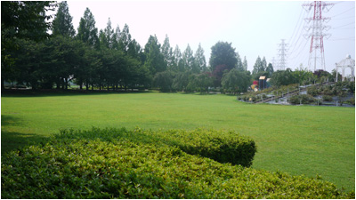 近隣施設　公園